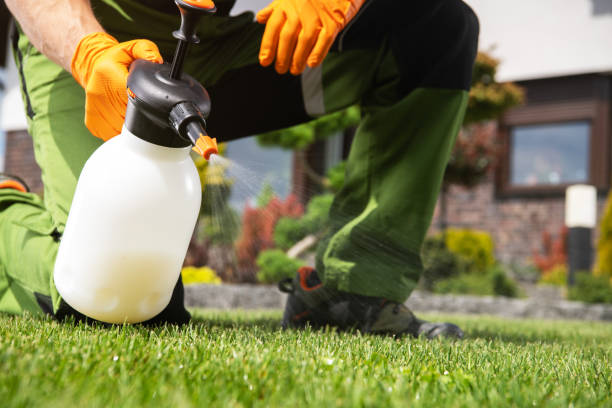 Best Cockroach Control Services  in Bouse, AZ