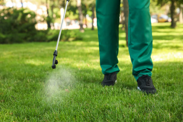 Best Pest Control Near Me in Bouse, AZ