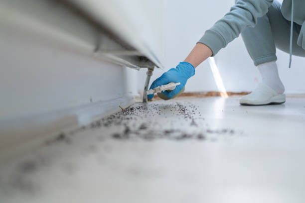 Best Wildlife Control Services  in Bouse, AZ